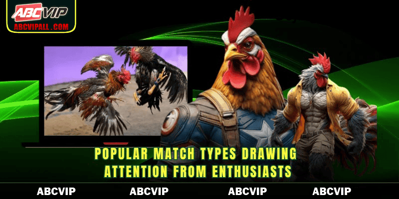 Popular match types drawing attention from enthusiasts